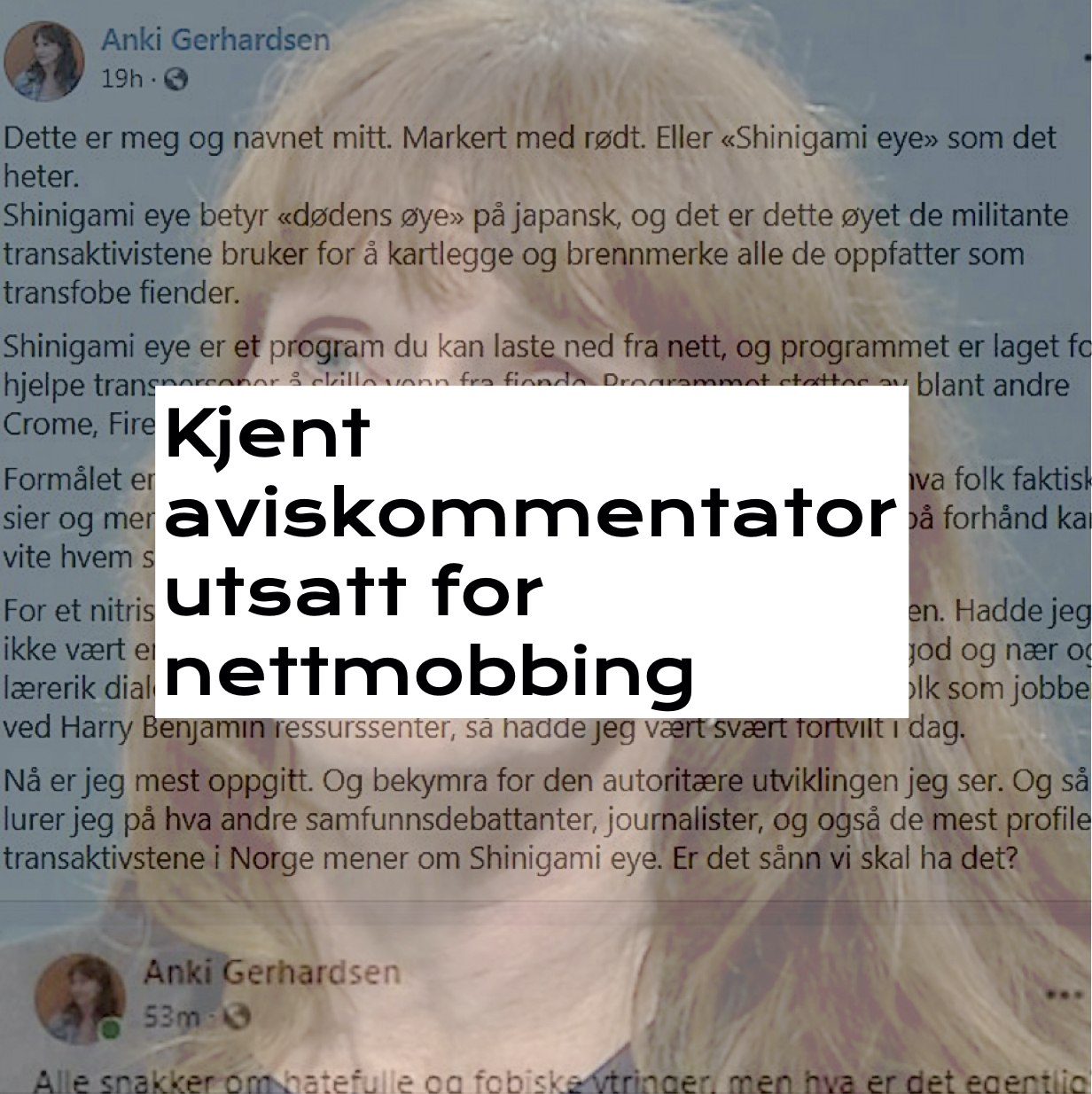 Kjent aviskommentator utsatt for nettmobbing