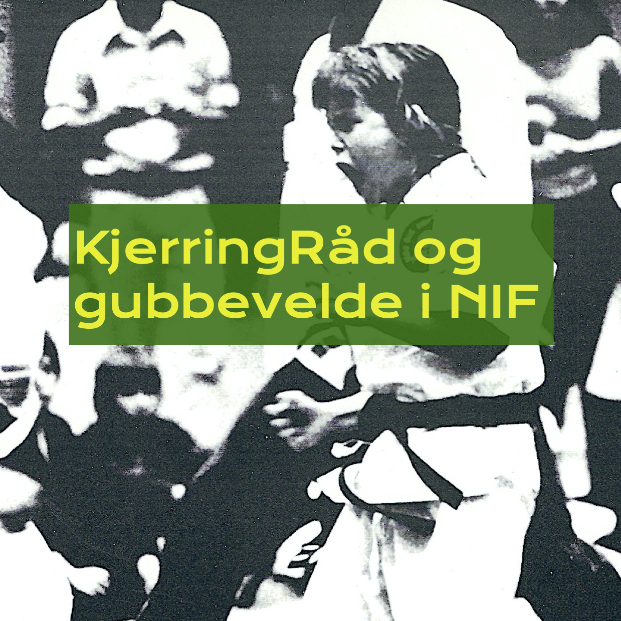 KjerringRåd og gubbevelde i NIF